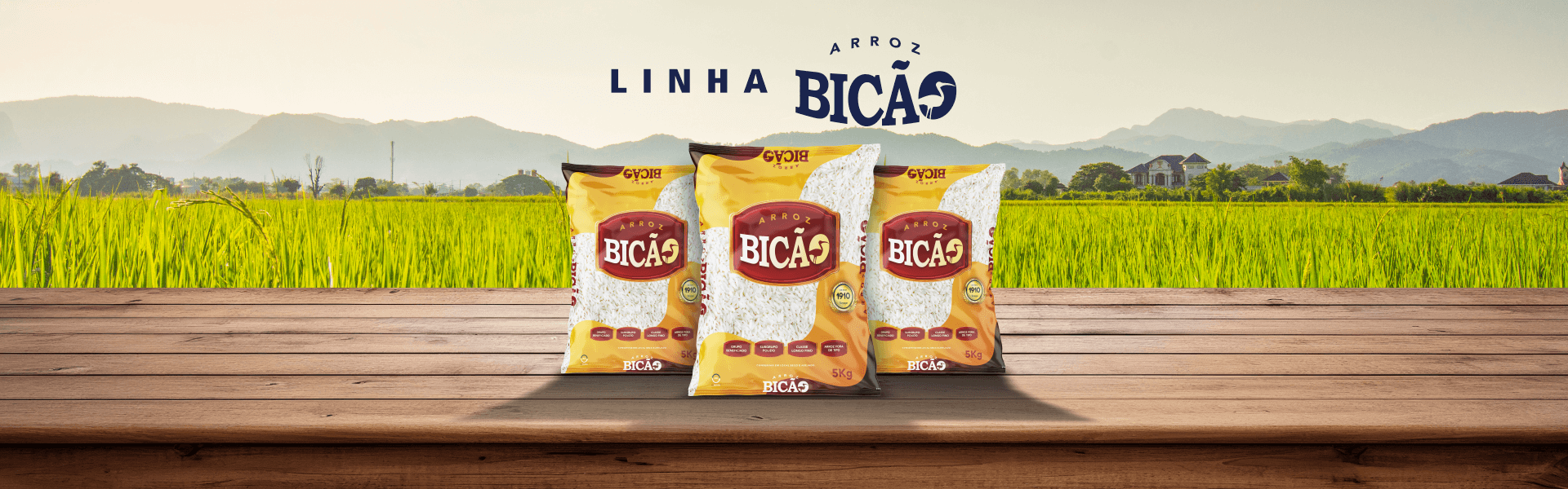 Bicão