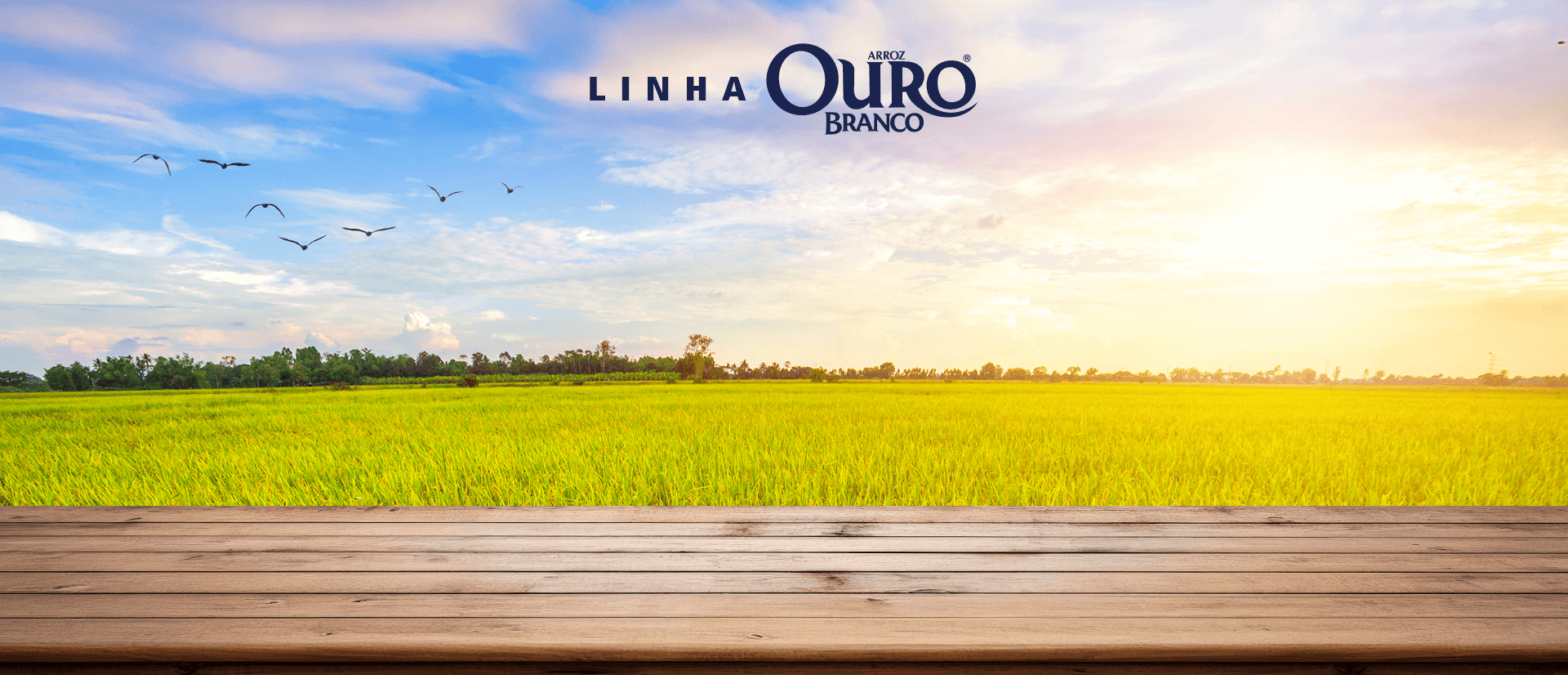 Arroz Ouro Branco Mix Polido e Parboilizado T1